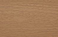 Beach Dune