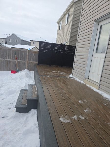 Toasted Sand With Clam Shell Border