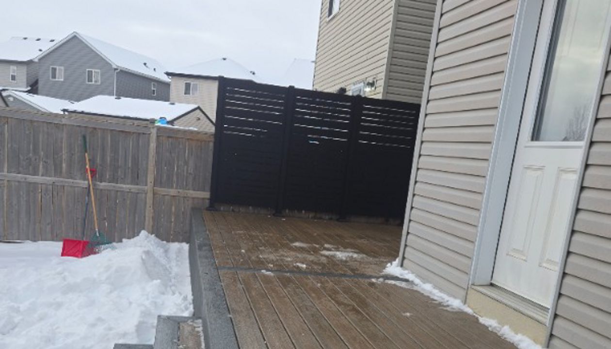 Toasted Sand With Clam Shell Border