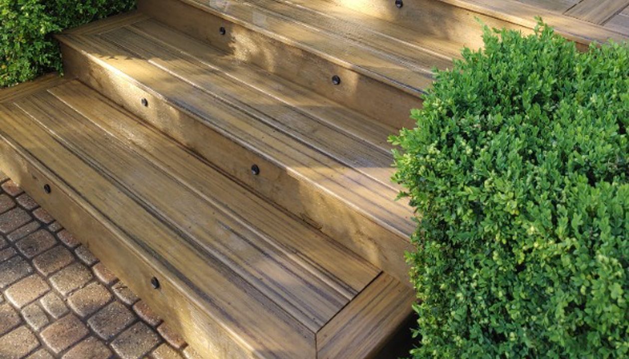 Trex Spiced Rum and Trex bench..