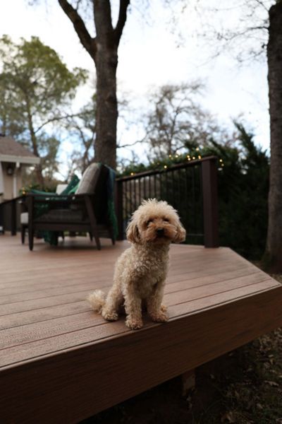 Trex Deck Replacement Auburn, CA