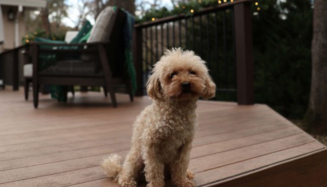 Trex Deck Replacement Auburn, CA