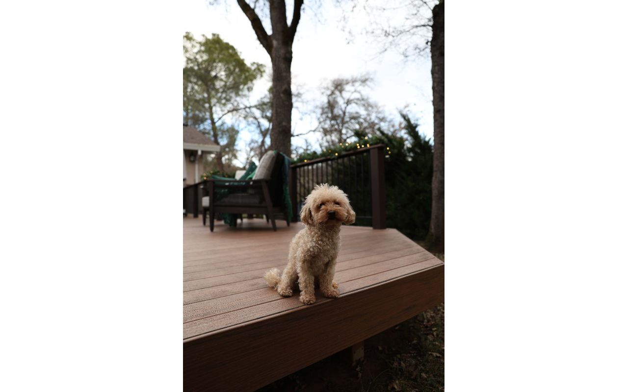 Trex Deck Replacement Auburn, CA