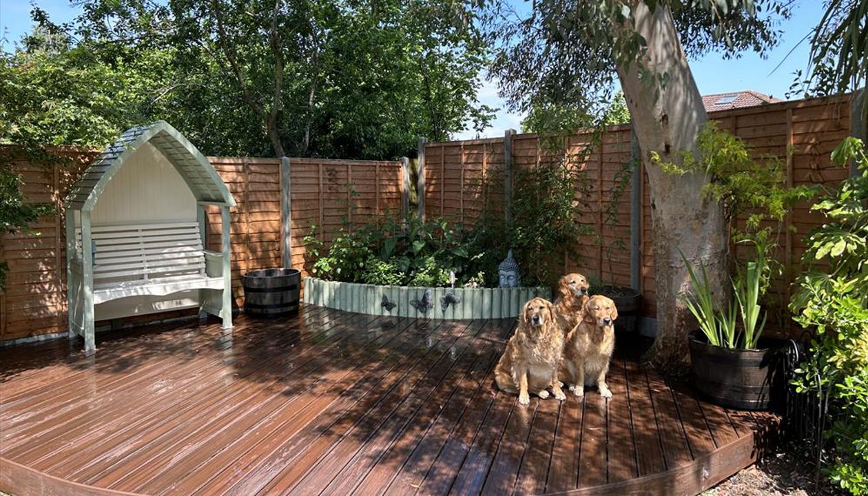 A curved front Trex Transcend Lava Rock deck in Bexley Kent. It's a dog's life!