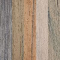 A close-up view displays five vertical wood panels, each featuring distinct grain patterns and natural color variations. The setting is a neutral, well-lit environment, emphasizing the organic textures and tones of the wood. The image highlights a range of hues from cool gray to warm brown and beige, showcasing the diversity of wood finishes. No visible text, numbers, or identifiable brands are present.