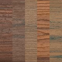 A collection of six distinct wood textures displayed side by side, showcasing various earthy tones ranging from deep brown to light beige. The textures feature natural grain patterns and subtle variations in color, emphasizing organic aesthetics. Ideal for design inspiration or material references.