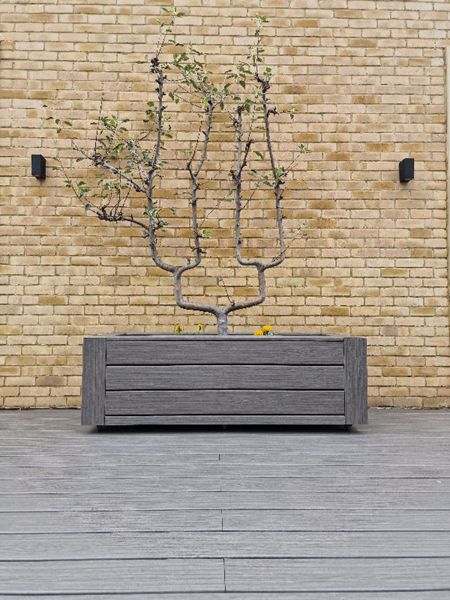 Trex Signature Whidby decking and planter in Wimbledon SW19 Oilcanfinish