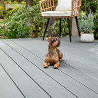 A small brown dog sits attentively on a modern gray composite deck in an outdoor garden setting. Behind the dog, a wicker chair with a white cushion and a potted plant add to the tranquil atmosphere. Lush greenery and trees surround the area, creating a peaceful and inviting mood. The scene is bright and natural, emphasizing relaxation and comfort.