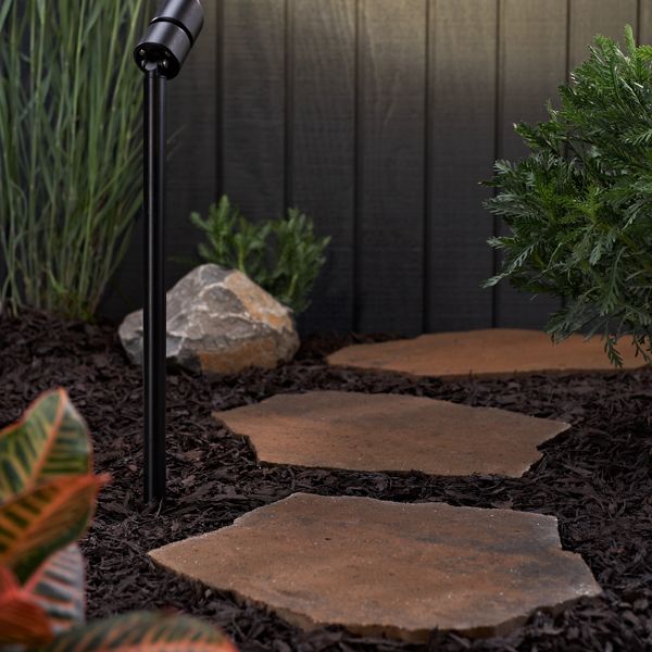 Trex LED Spotlight for Landscape Lighting Trex