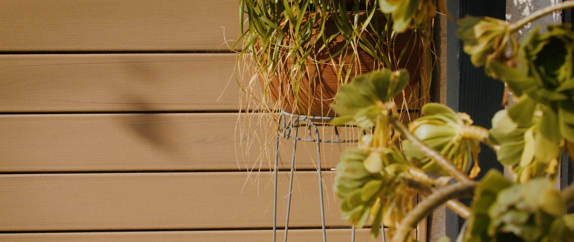 A close-up view of two potted plants is shown, one on a metal plant stand and another in the foreground. The background features beige horizontal siding, suggesting an outdoor or patio setting. The lighting is warm, highlighting the green foliage and creating a relaxed atmosphere. No visible text or numbers are present in the image.