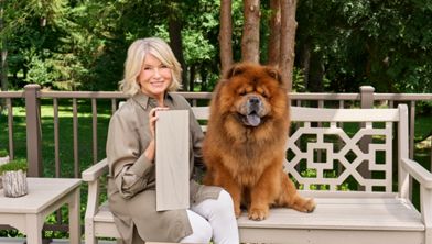 A mature woman sits on an outdoor bench holding a rectangular wood or composite deck board sample. Beside her is a large fluffy dog resting on the bench. They are on a deck surrounded by trees and greenery, with a decorative railing in the background. Several deck boards in different neutral colors are laid out on the table in front, showcasing various wood tones. The scene feels calm and inviting, highlighting outdoor living and material choices.