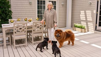 A mature woman stands on a light-colored deck with three dogs, including a fluffy large dog and two small black dogs. She is positioned near an outdoor dining table set with chairs and vases of flowers. The scene is set against a shingled house exterior with large windows and a glass door. Soft natural light and neutral tones create a calm, welcoming atmosphere.