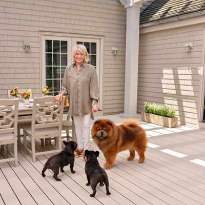 A mature woman stands on a light-colored deck with three dogs, including a fluffy large dog and two small black dogs. She is positioned near an outdoor dining table set with chairs and vases of flowers. The scene is set against a shingled house exterior with large windows and a glass door. Soft natural light and neutral tones create a calm, welcoming atmosphere.