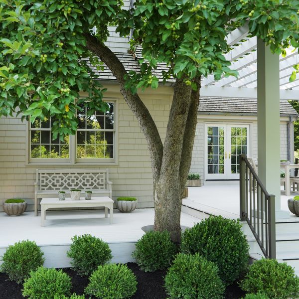 A stylish backyard patio features a light-colored wooden deck surrounded by neatly trimmed shrubs and a mature tree. Classic outdoor furniture, including a bench and table, is arranged near the house for relaxed seating. Potted plants accent the steps and corners of the deck, adding texture and greenery. Large windows and French doors connect the bright exterior space to the home’s interior, creating an inviting outdoor living area.