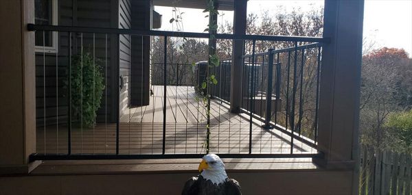 Trex Enhance Decking Beach Dune/Saddle 2 tone and picture frame. Bear and 10 point deer country part of Forest Lake, MN