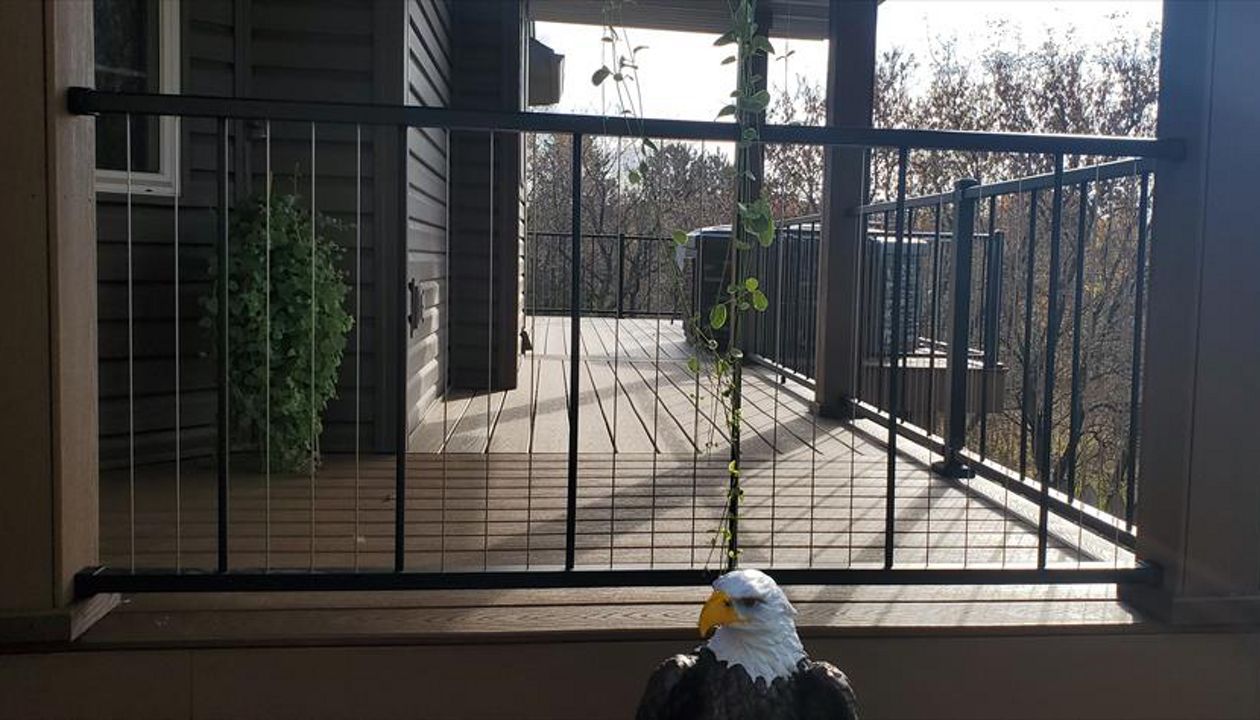 Trex Enhance Decking Beach Dune/Saddle 2 tone and picture frame. Bear and 10 point deer country part of Forest Lake, MN