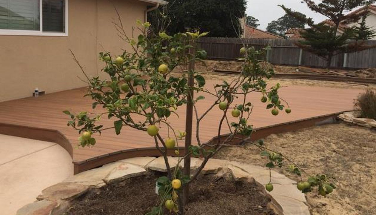 Trex Transcend Patio deck