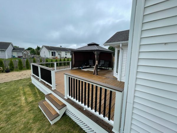 Havanah Gold with Spiced Rum Borders