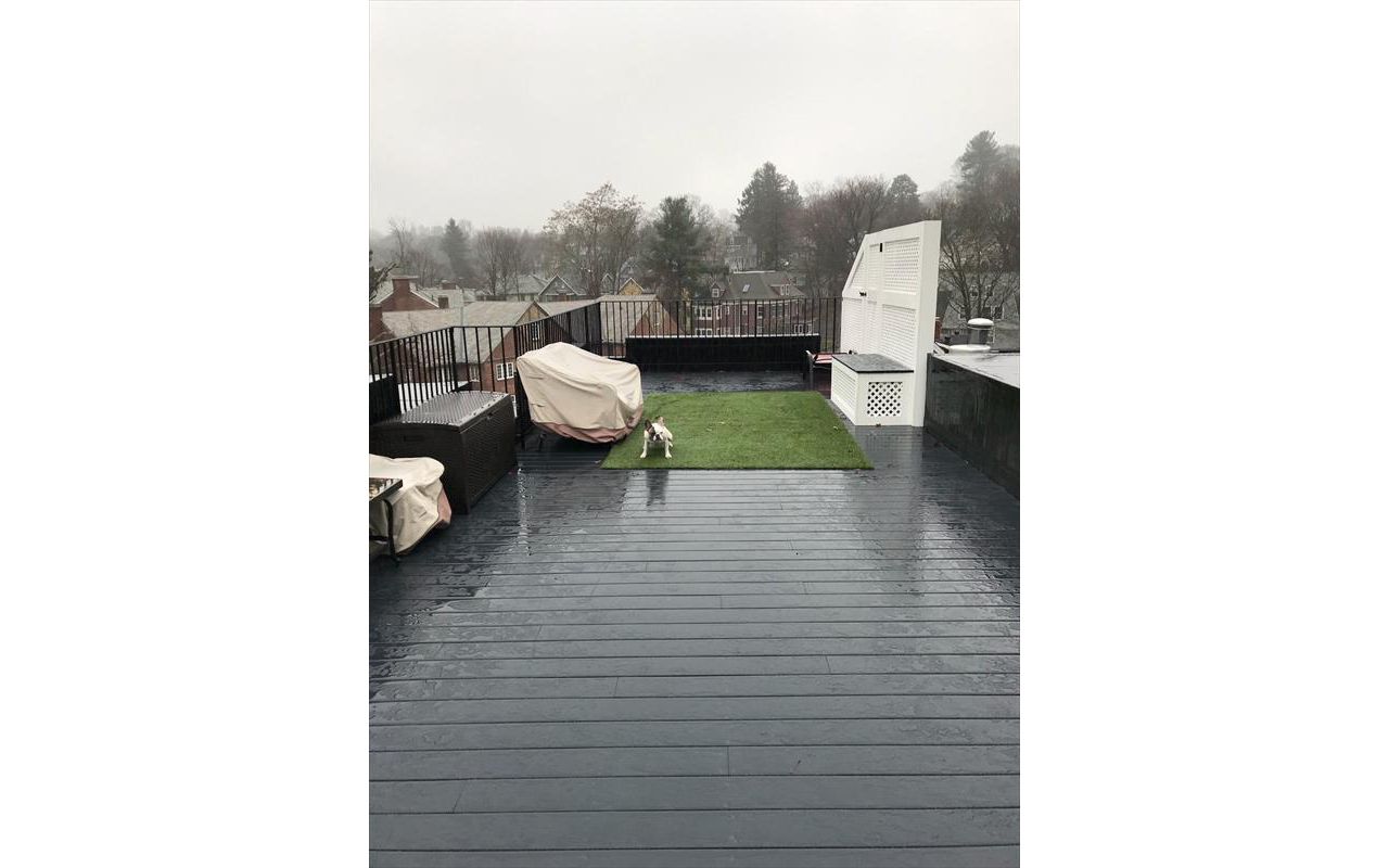 Trex Deck