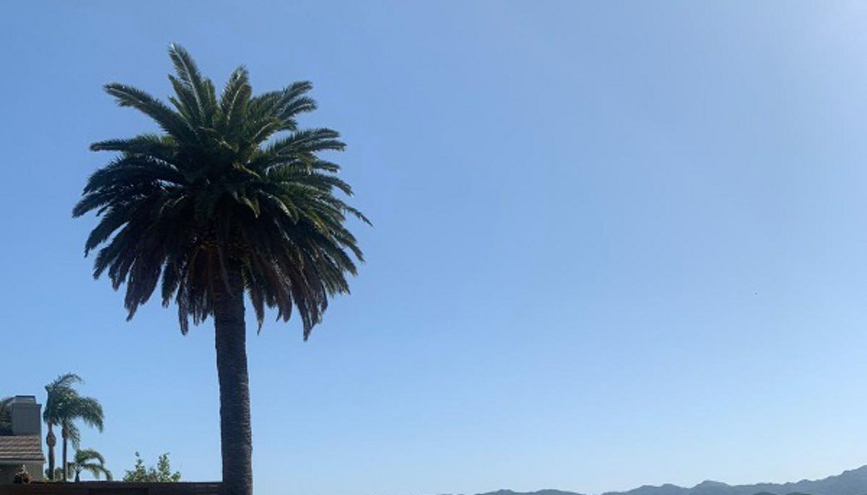 Trex pool deck 2,000 sqft deck and fence