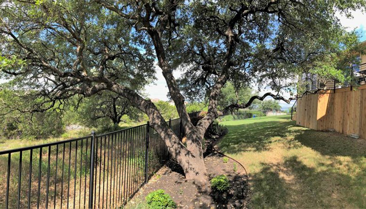 Shaded backyard with a Trex Transcend Tiki Torch composite deck, Austin, Texas