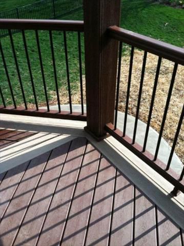 Rope Swing and Fire Pit