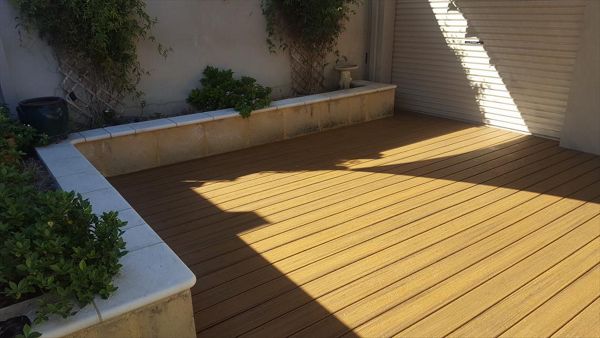 Trex Transcend - Havana Gold - Nollamara