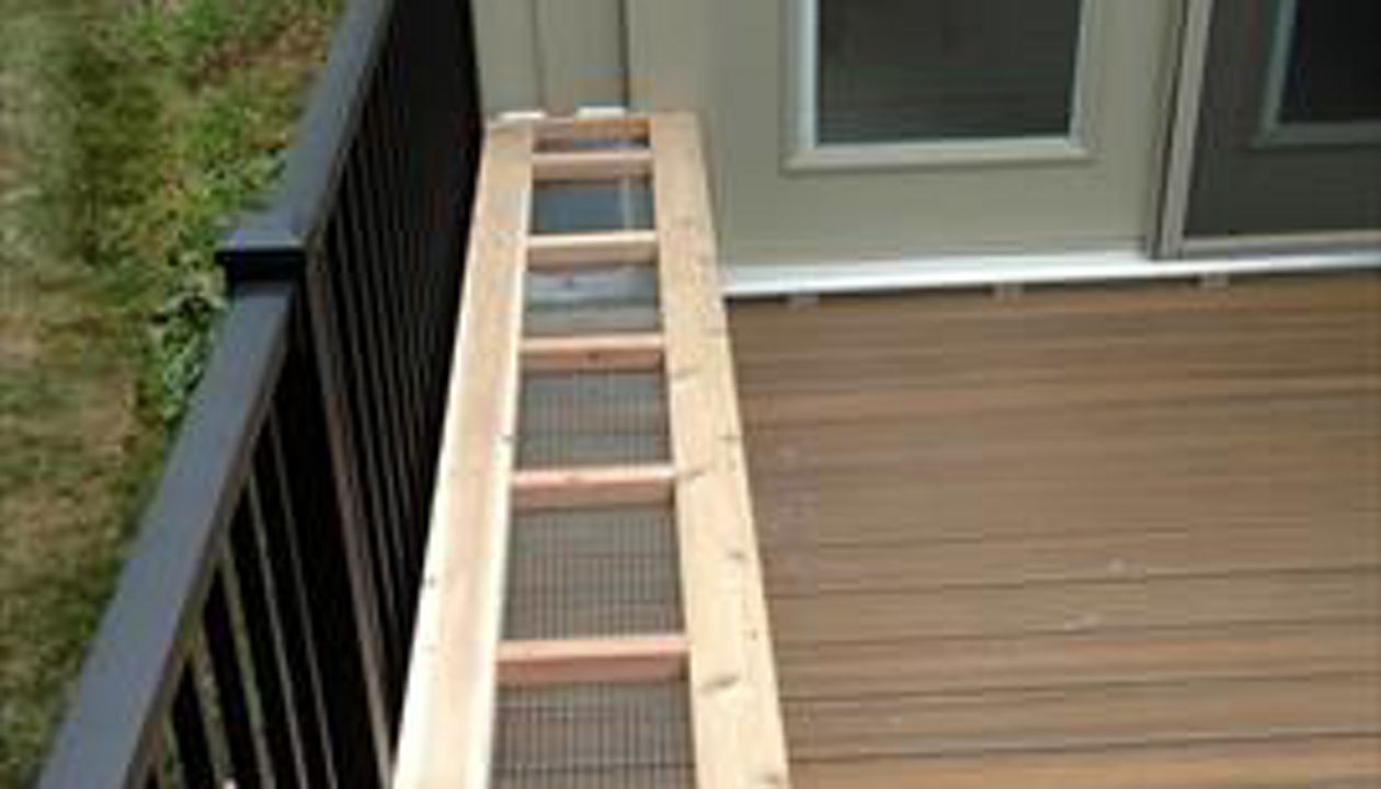 Trex Tropical Transcend with Custom Bench