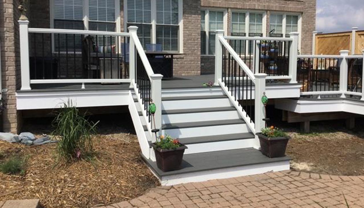 Trex, Clam Shell, Transcend, Canton