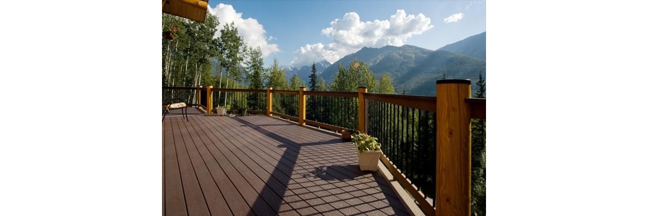 View! View! View! Alaska mountains from this Treeline deck.