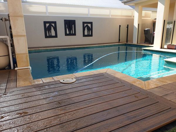 Trex Transcend - Havana Gold - Hillarys 2