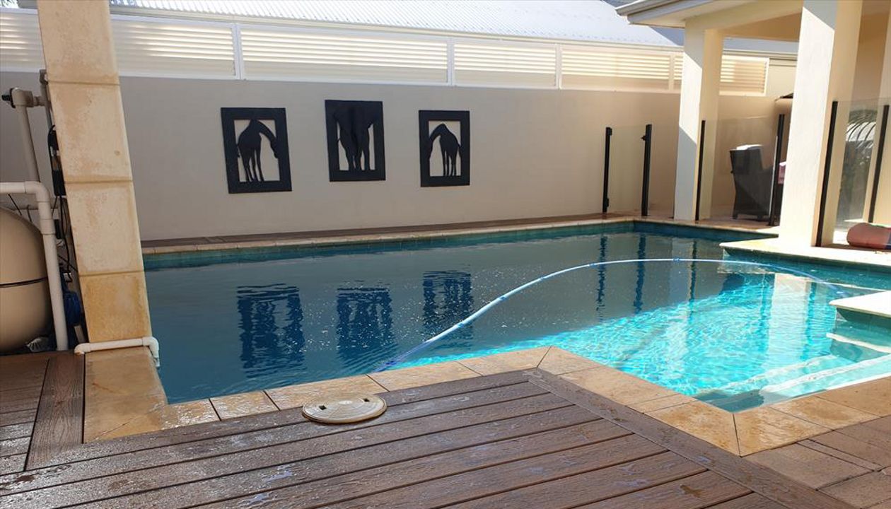 Trex Transcend - Havana Gold - Hillarys 2