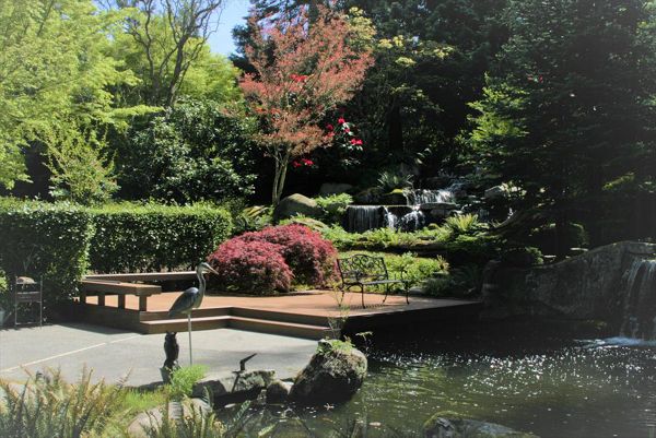 Trex Transcend Tropicals Spiced Rum decking and fascia.