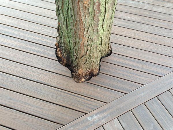 Check out this Trex deck Images Landscaping Images and Construction built in Northville, MI out of Trex Transcend Spiced Rum decking, with special cuts made as to keep the beautiful old tree as part of the outdoor living space.