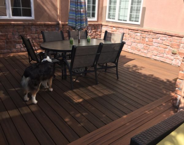 Trex Spiced Rum with Tiki Torch Border