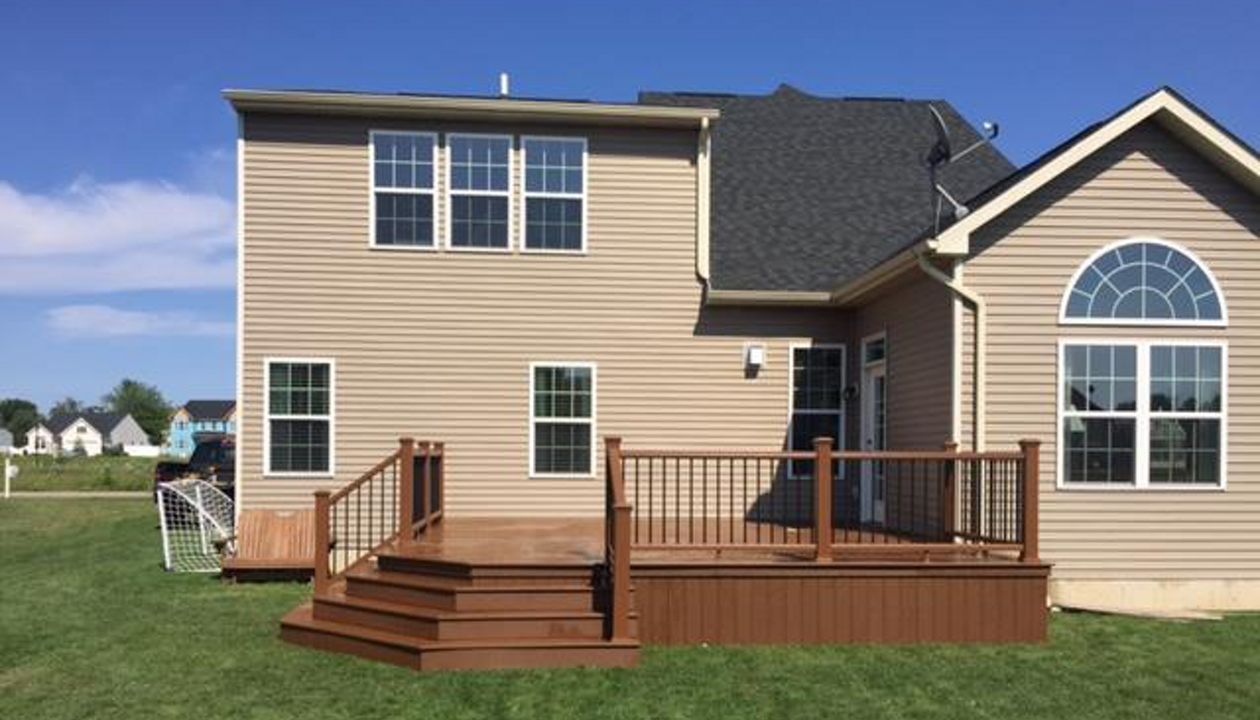 Tree House Masterpiece