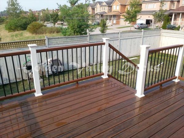 Trex transcend spiced rum