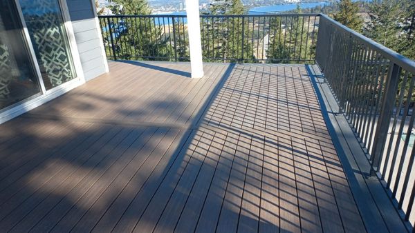 Toasted Sand and Clam Shell Border