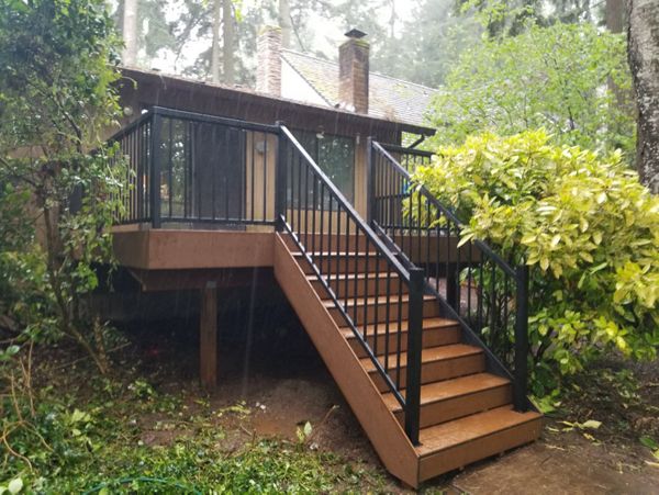 Trex Enhance Basics Pic 1