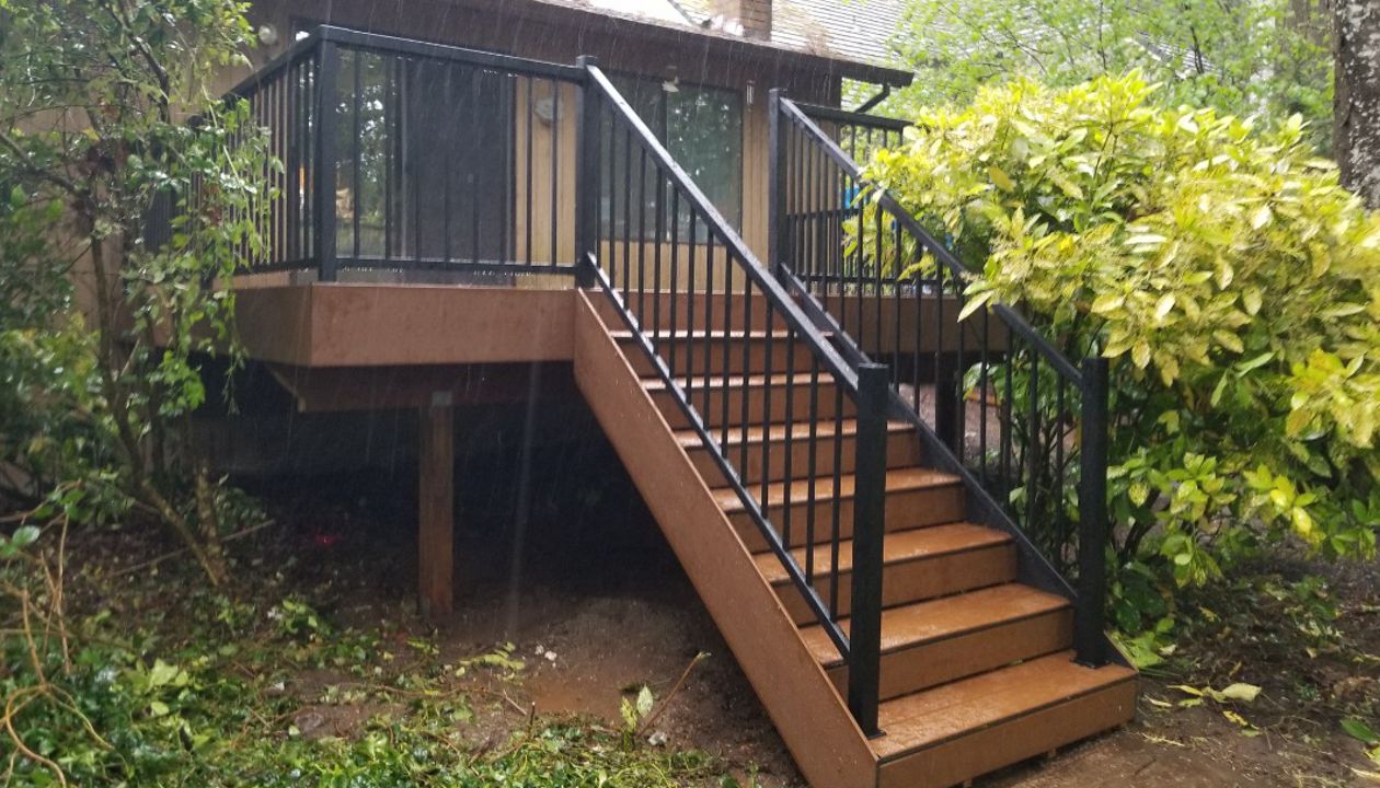 Trex Enhance Basics Pic 1