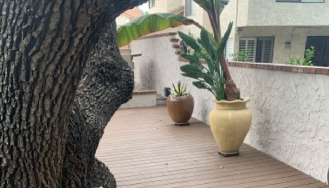 New Trex Deck in Santa Clarita, CA