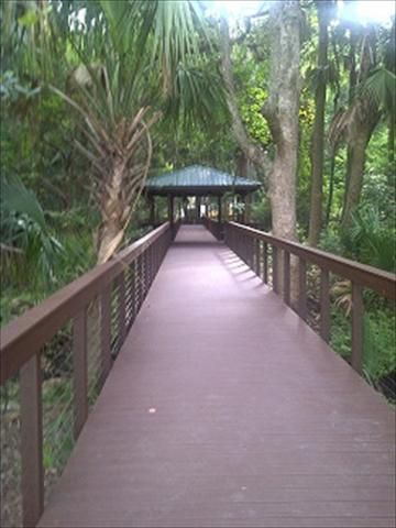 Trex Transcends Nature Walkway