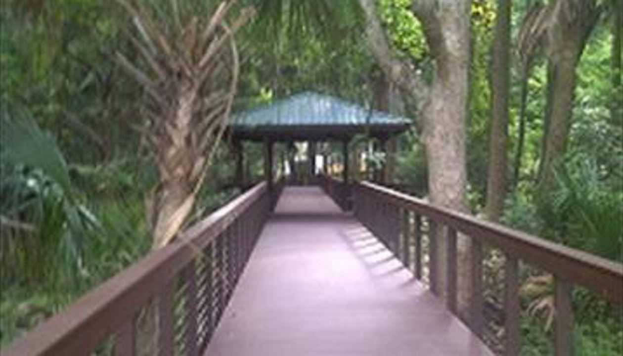 Trex Transcends Nature Walkway