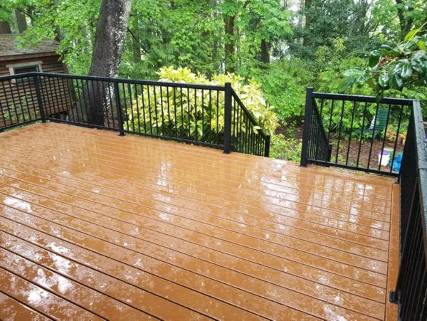 Trex Enhance Basics Pic 2