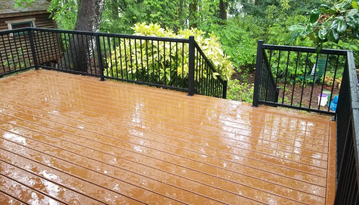 Trex Enhance Basics Pic 2