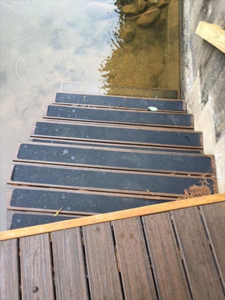Trex Transcend stairs give access