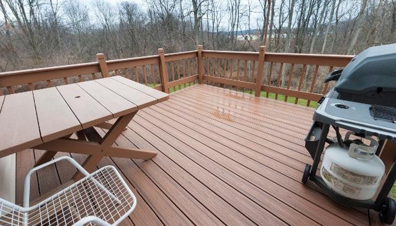 Havana Gold Transcend