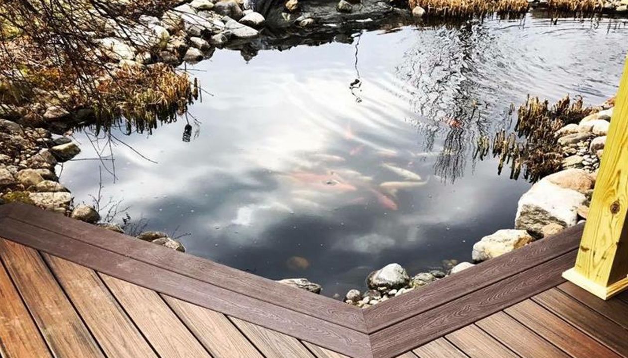 Enjoying a koi pond from the Trex deck