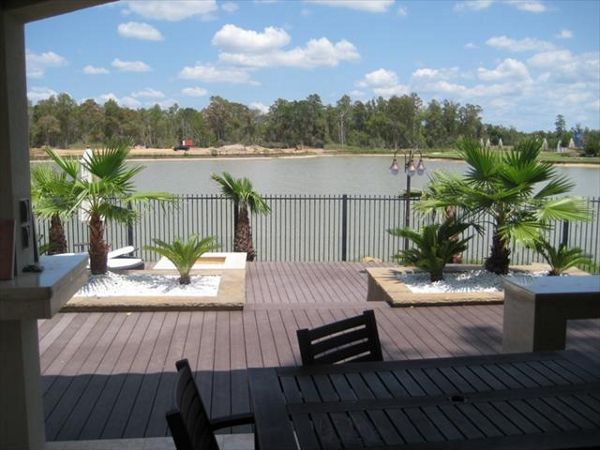 Dark Brown Trex In Lake Olympia