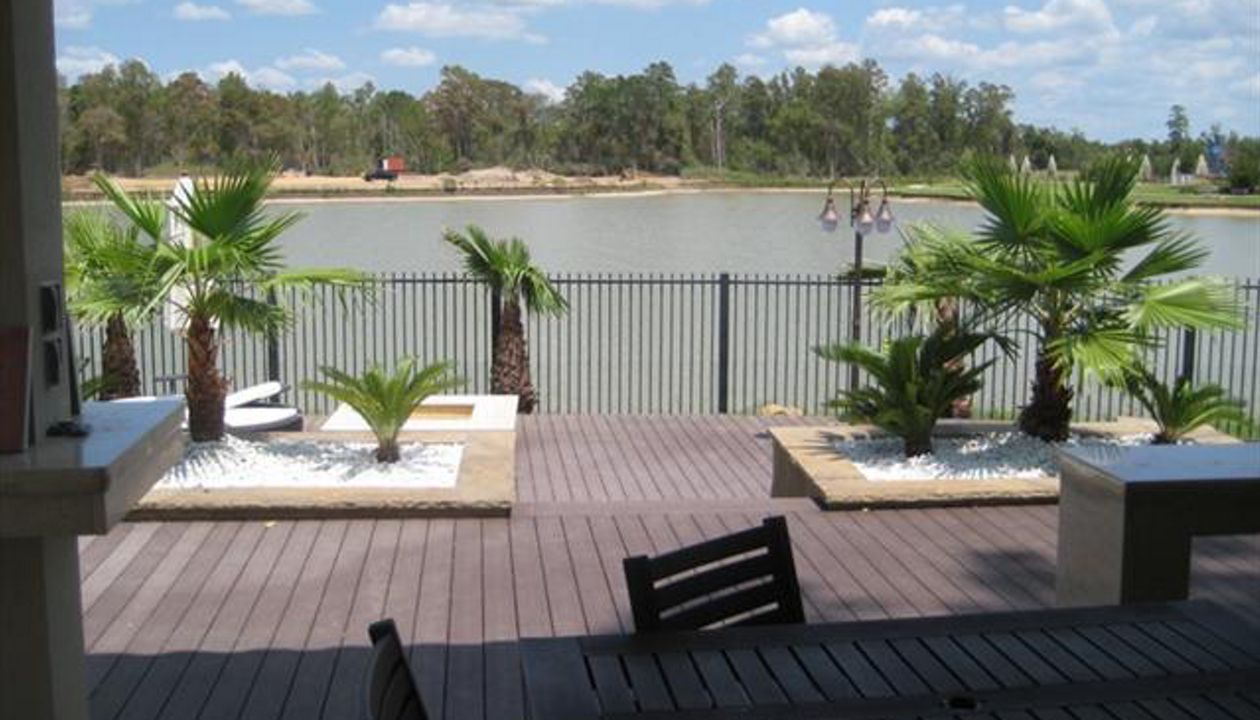 Dark Brown Trex In Lake Olympia